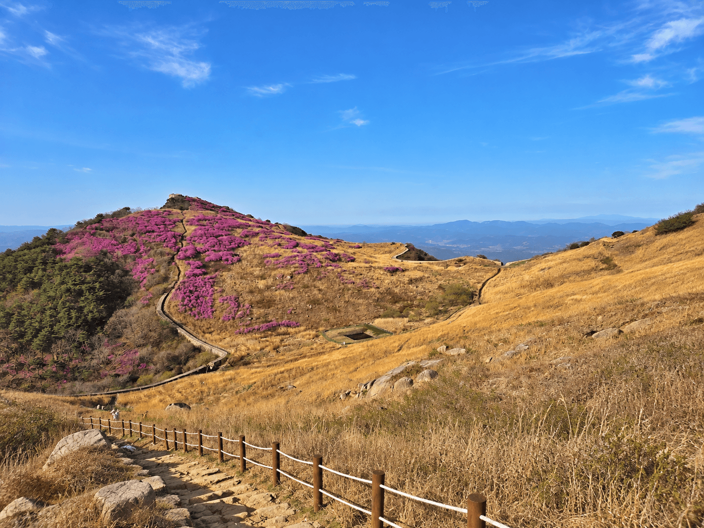 화왕산 능선과 억새밭 풍경